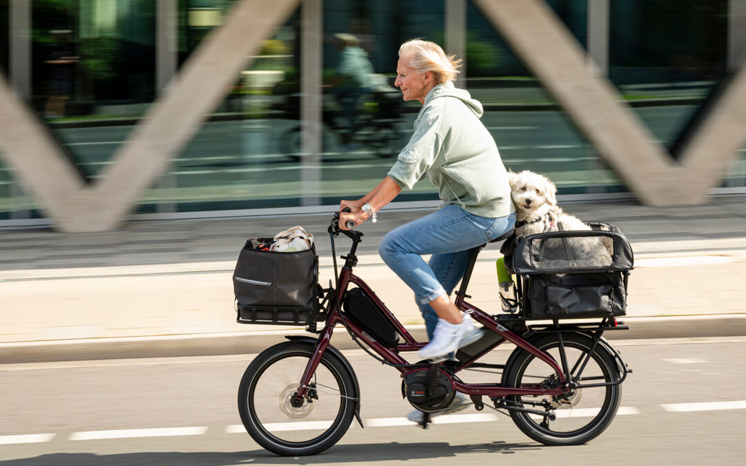 The Best Electric Cargo Bikes for Families